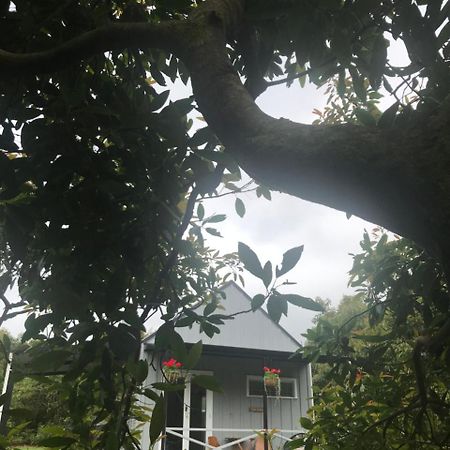 Paradise Grove ฟางามาตา ภายนอก รูปภาพ