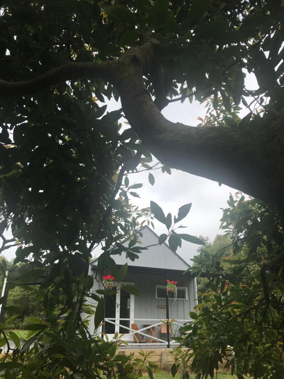 Paradise Grove ฟางามาตา ภายนอก รูปภาพ